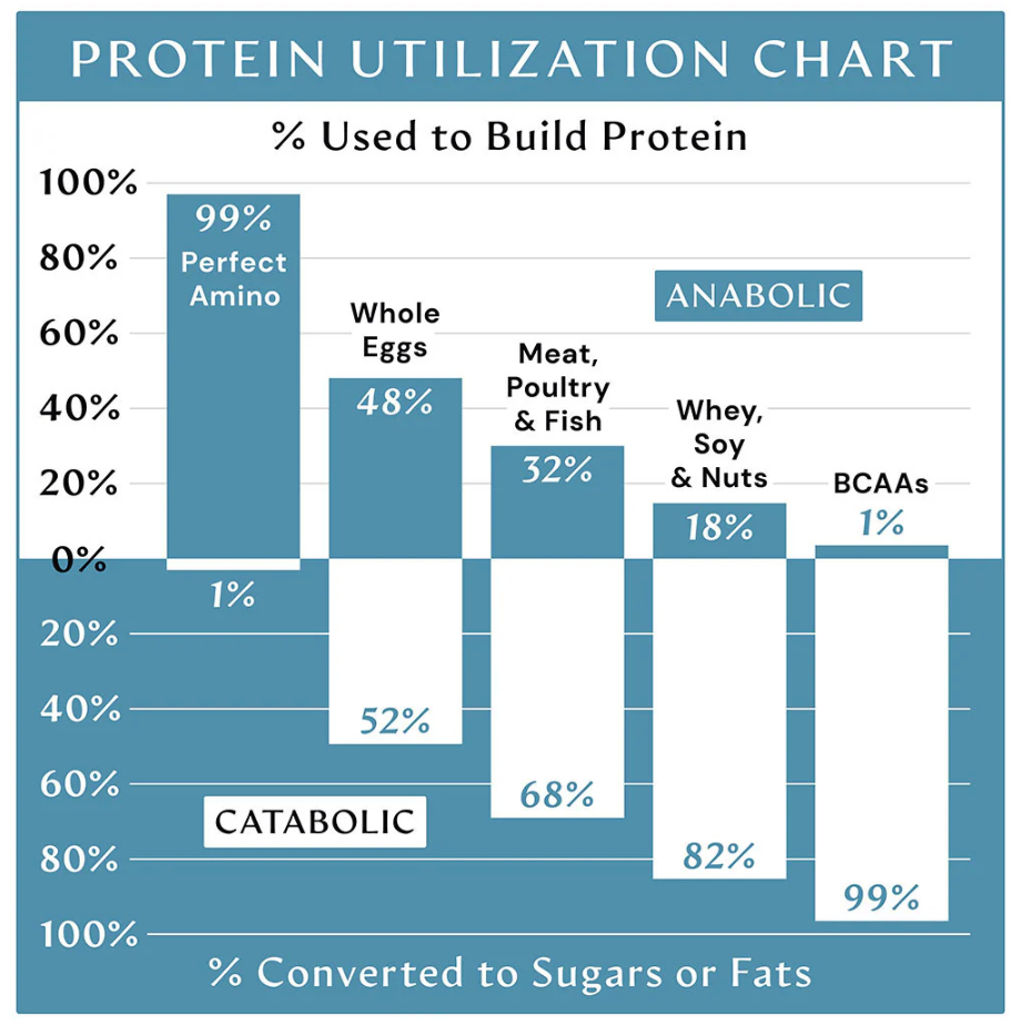 BodyHealth Perfect Amino Coated Tablets (600 caps)